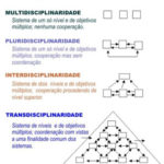 Transdisciplinaridade: Bom para exercitar a VISÃO “ALARGADA”