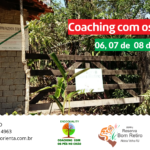 Em 2017 a 1ª Imersão “Coaching com os Pés no Chão” na RPPN Fazenda Bom Retiro em Aldeia Velha/RJ